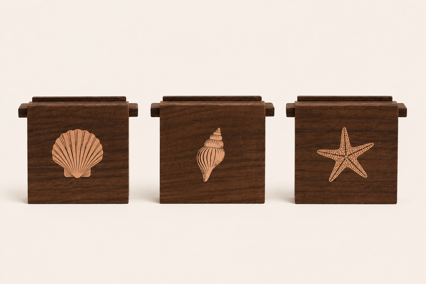 Sea Shell Shore