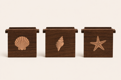 Sea Shell Shore